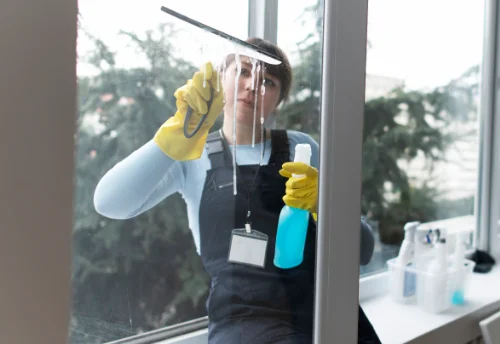 Nettoyage de vitres intérieures et extérieures à Belleherbe